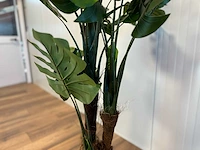 Royal pachira monsteria deliciosa kunstboom - afbeelding 12 van  14