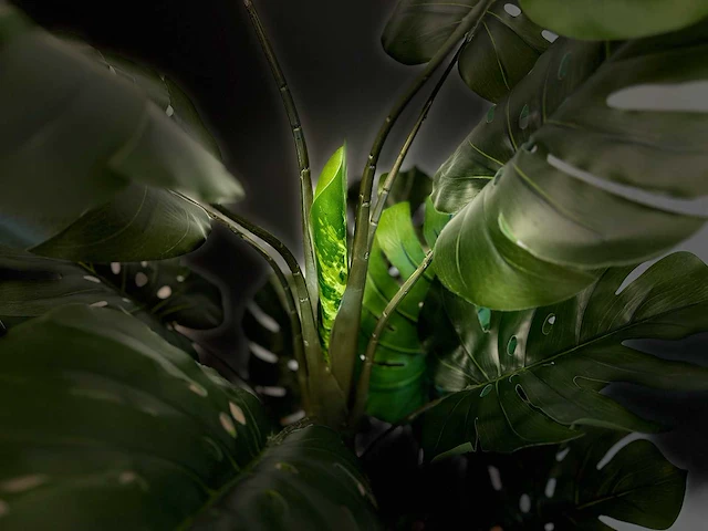Royal pachira monsteria deliciosa kunstboom - afbeelding 13 van  14