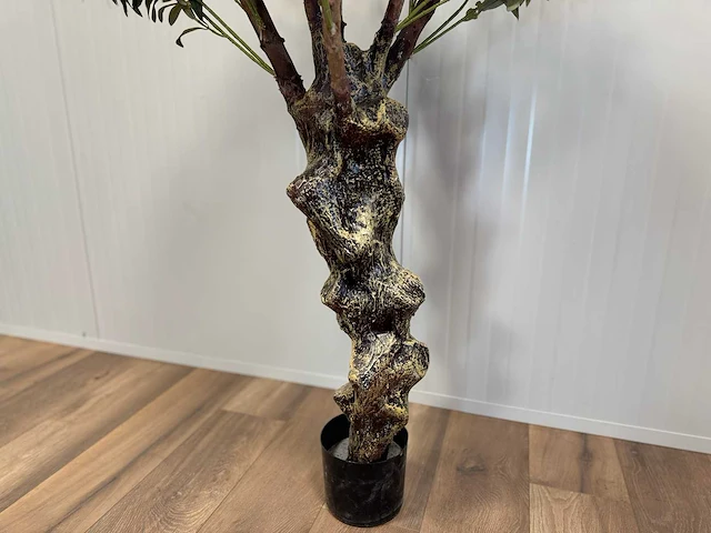 Royal pachira olijf boom kunstboom - afbeelding 4 van  13