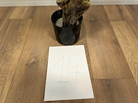 Royal pachira olijf boom kunstboom - afbeelding 5 van  13