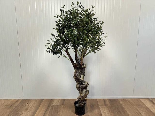 Royal pachira olijf boom kunstboom - afbeelding 1 van  13
