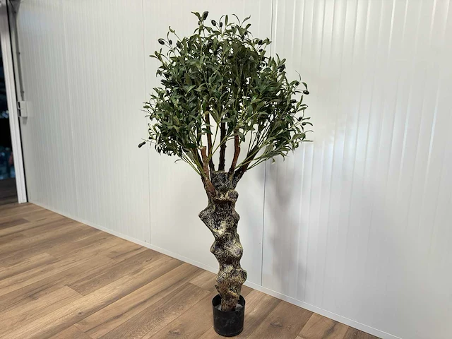 Royal pachira olijf boom kunstboom - afbeelding 6 van  13