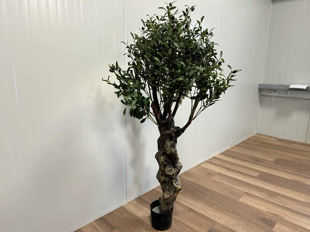 Royal pachira olijf boom kunstboom - afbeelding 7 van  13