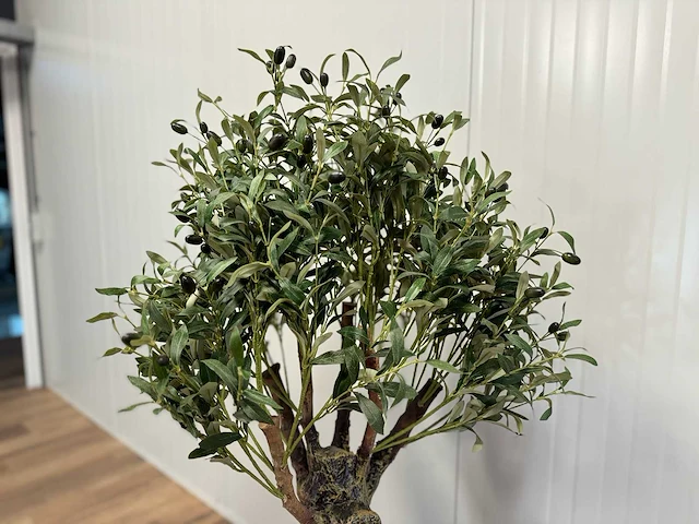 Royal pachira olijf boom kunstboom - afbeelding 9 van  13