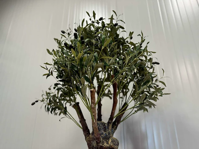 Royal pachira olijf boom kunstboom - afbeelding 11 van  13