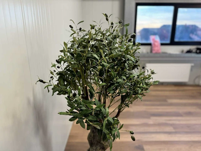 Royal pachira olijf boom kunstboom - afbeelding 12 van  13