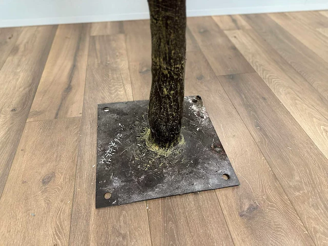 Royal pachira perzik bloesem kunstboom - afbeelding 10 van  19