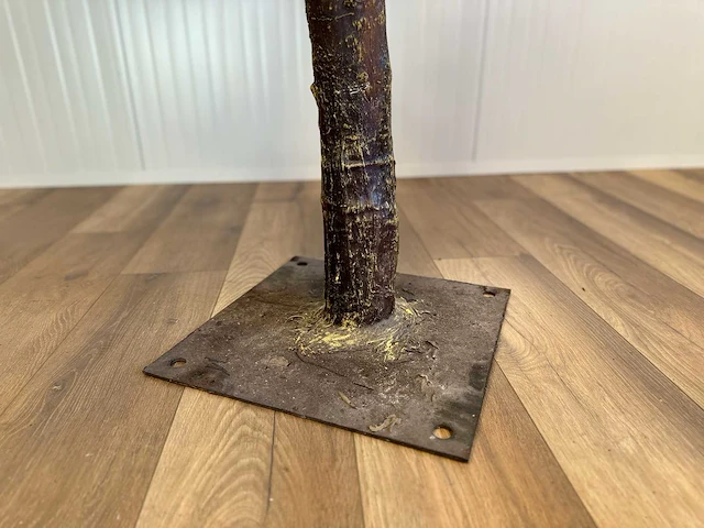 Royal pachira perzik bloesem kunstboom - afbeelding 11 van  20