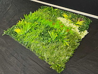 Royal pachira wand paneel (2x) - afbeelding 3 van  14