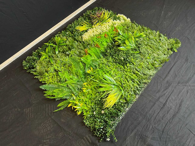 Royal pachira wand paneel (2x) - afbeelding 4 van  14