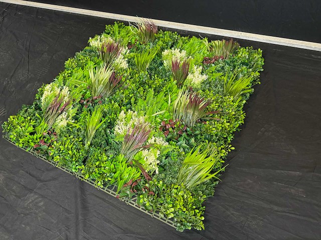 Royal pachira wand paneel (2x) - afbeelding 2 van  13