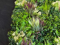 Royal pachira wand paneel (2x) - afbeelding 7 van  13