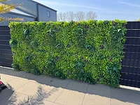 Royal pachira wand paneel (32x) - afbeelding 19 van  19