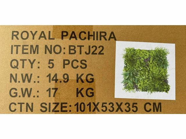 Royal pachira wand paneel (4x) - afbeelding 3 van  11