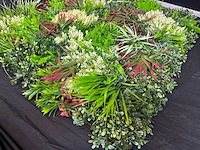 Royal pachira wand paneel (8x) - afbeelding 8 van  12