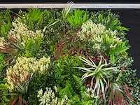 Royal pachira wand paneel (8x) - afbeelding 9 van  12