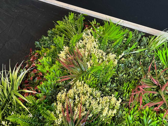 Royal pachira wand paneel (8x) - afbeelding 11 van  12