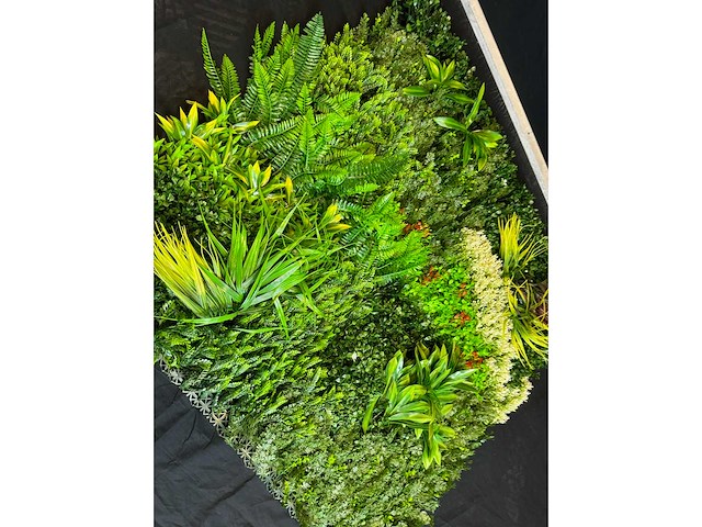 Royal pachira wand paneel (8x) - afbeelding 5 van  14