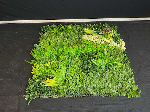 Royal pachira wand paneel (8x) - afbeelding 8 van  14