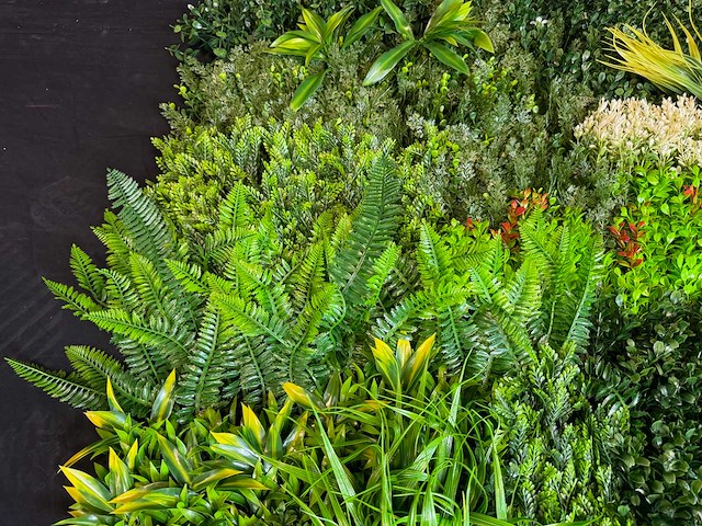 Royal pachira wand paneel (8x) - afbeelding 9 van  14