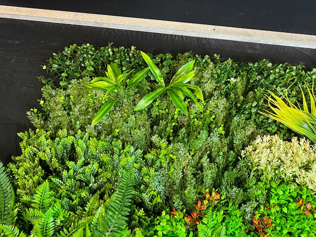 Royal pachira wand paneel (8x) - afbeelding 12 van  14