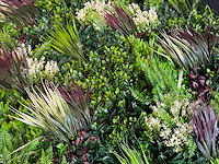 Royal pachira wand paneel (8x) - afbeelding 10 van  13