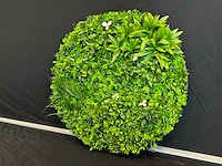 Royal pachira wand paneel rond (10x) - afbeelding 4 van  11