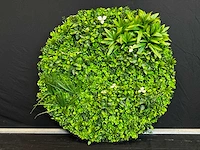 Royal pachira wand paneel rond (10x) - afbeelding 5 van  11