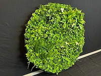 Royal pachira wand paneel rond (10x) - afbeelding 8 van  11