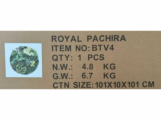 Royal pachira wand paneel rond (10x) - afbeelding 2 van  11