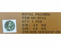 Royal pachira wand paneel rond (10x) - afbeelding 5 van  13