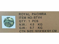 Royal pachira wand paneel rond (20x) - afbeelding 2 van  11