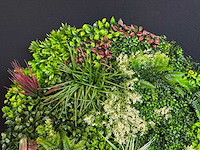 Royal pachira wand paneel rond (5x) - afbeelding 2 van  13