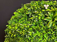 Royal pachira wand paneel rond (5x) - afbeelding 6 van  11