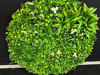 Royal pachira wand paneel rond (5x) - afbeelding 9 van  11