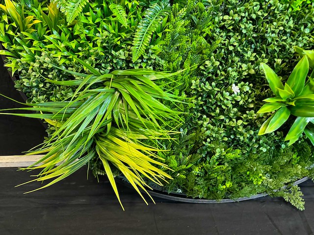 Royal pachira wand paneel rond (5x) - afbeelding 2 van  12