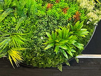 Royal pachira wand paneel rond (5x) - afbeelding 10 van  12