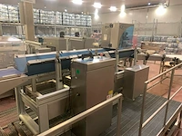 R.s. bilance s.n.c. - afbeelding 2 van  11