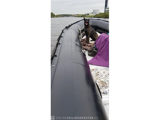 Rubberboot zodiac, mk5 , zwart - afbeelding 6 van  6