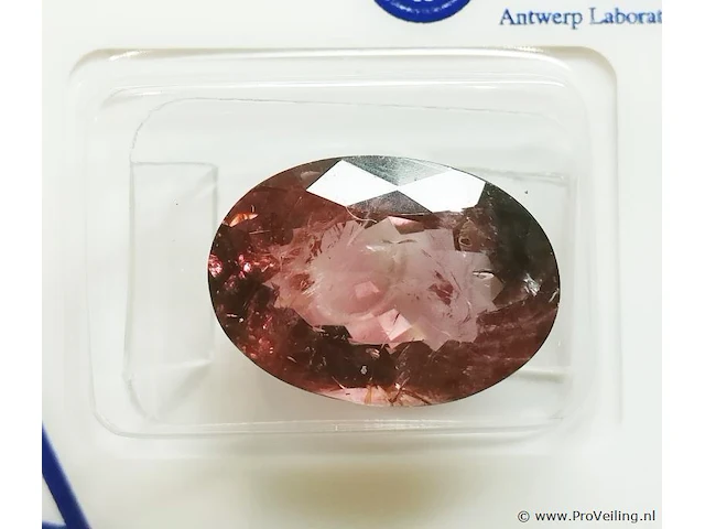 Rubellite 9.10ct algt certified - afbeelding 1 van  8