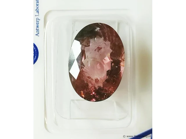 Rubellite 9.10ct algt certified - afbeelding 2 van  8