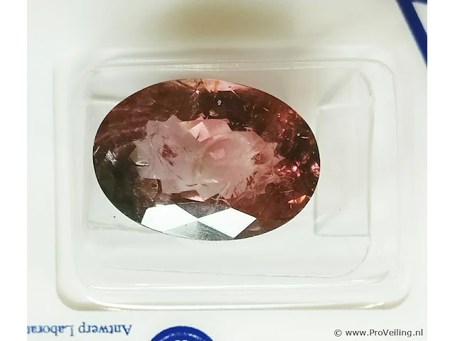 Rubellite 9.10ct algt certified - afbeelding 3 van  8