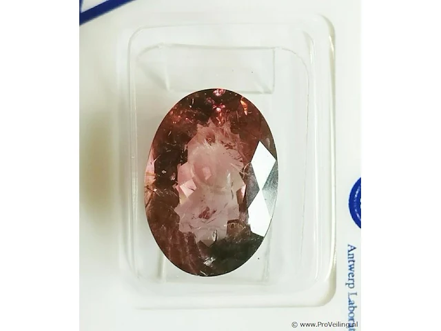 Rubellite 9.10ct algt certified - afbeelding 4 van  8