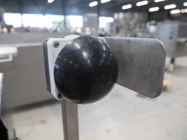 Rudolf schad - afbeelding 8 van  9