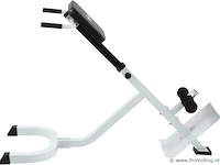 Rug-/buiktrainer 6 standen - afbeelding 3 van  7