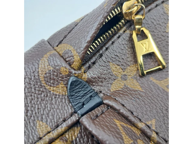 Rugtas, louis vuitton, palm springs backback pm - afbeelding 6 van  16