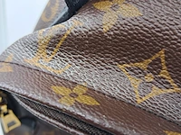 Rugtas, louis vuitton, palm springs backback pm - afbeelding 7 van  16