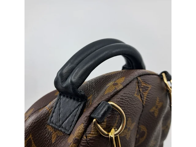 Rugtas, louis vuitton, palm springs backback pm - afbeelding 8 van  16