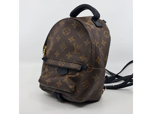 Rugtas, louis vuitton, palm springs backback pm - afbeelding 1 van  16