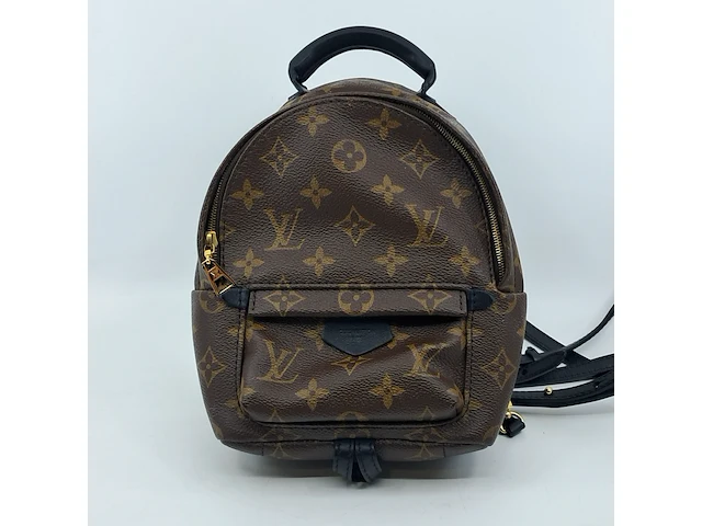 Rugtas, louis vuitton, palm springs backback pm - afbeelding 9 van  16